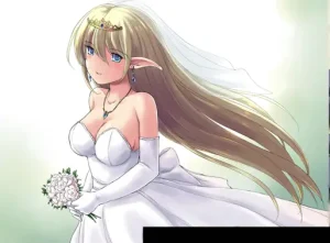 R463  地下城与新娘   v1.26-Fi汐acg