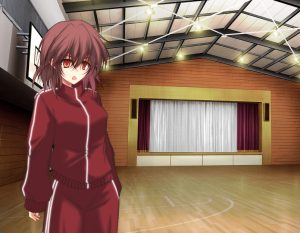 R1050   Evening Survivor    v1.1.22   ai汉  双端-Fi汐acg