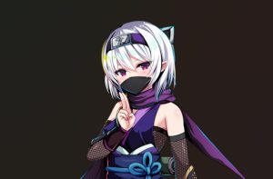 R1040   ロリ忍者村   官中   步兵   双端-Fi汐acg