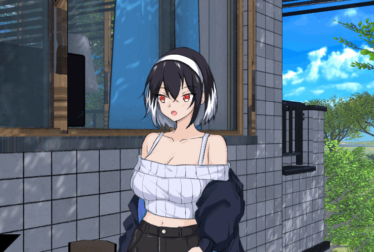 R1437      NTR 足球      正式版  +存档     v1.1.1-Fi汐acg